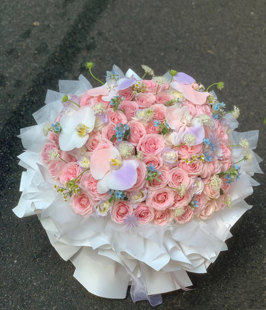 z5648991723455_20371640fa05b5e7b6815851711434ff